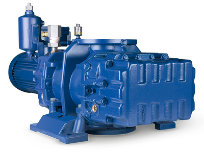 Wälzkolben-Vakuumpumpe